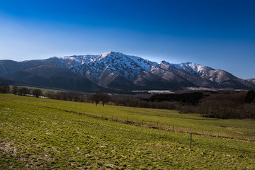 高原の牧場と雪の禿岳