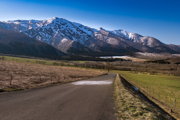 Fototapeta premium 高原の牧場と雪の禿岳