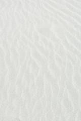 Fototapeta na wymiar 風紋が浮き出た砂浜