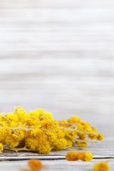 Spring flowers. Branch of yellow mimosa on blurred wooden surface. Floral background with copy space. Selective focus.