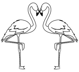 exotic flemish couple birds with heads up