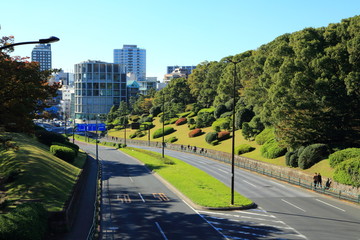 代々木八幡へと延びる道路と公園の樹林帯
