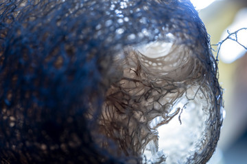 Dry fiber of Sponge Gourd with blue backlight for background design