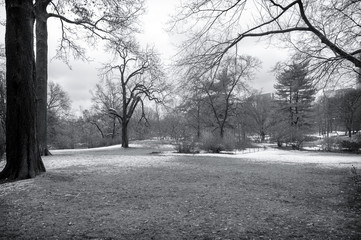 Central Park Nova York