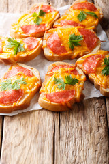 Delicious open toasts with salami sausage and melted cheese cheddar close-up. vertical