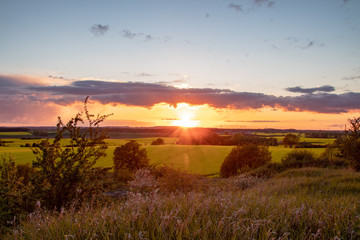Sonnenuntergang über den Rapsfeldern