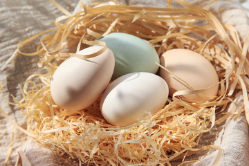 A variety of eggs, goose eggs close-up