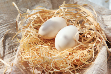 A variety of eggs, goose eggs close-up