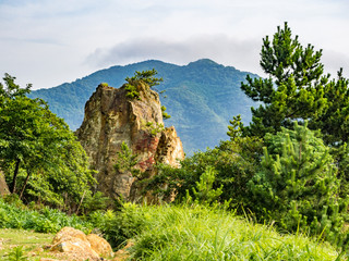 【静岡県伊豆半島ジオパーク】西伊豆黄金崎の風景【夏】