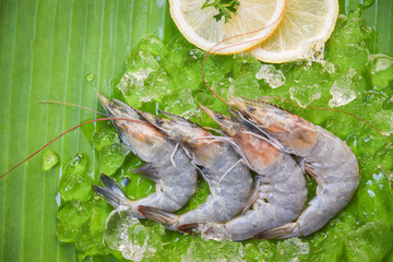 Fresh shrimps prawns with lemon and ice on banana leaf background top view - Raw shrimp