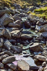 Obraz premium Small stream running on dark rocks next to grassy fields. Bright sunny day. Grisedale pike, Lake District, England, UK