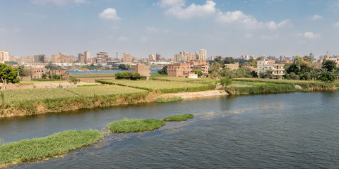 Fototapeta na wymiar Agriculture fields in the capital city of Egypt