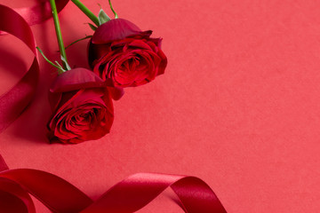 赤いバラと赤いリボンのプレゼントのイメージ