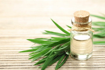 Tea tree essential oil in the galss bottle, on the wooden board