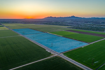 Yuma Irrigated Farmland