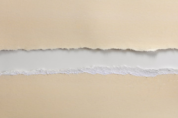 Vanilla Fiber Paper Torn in Half over White Background