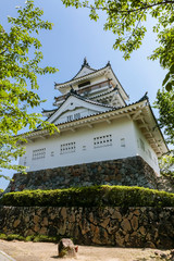 五月晴れに新緑が映える杵築城