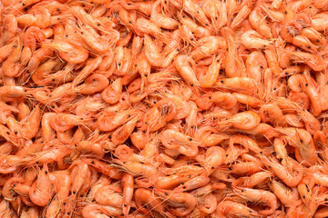 Tasty fresh shrimps as background.