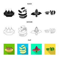 Isolated object of natural and vegetarian sign. Set of natural and eating stock vector illustration.