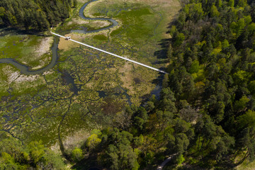 Lake and forest in Kazdanga, Latvia.