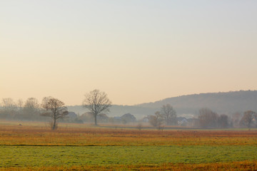 Hazy morning over meadows