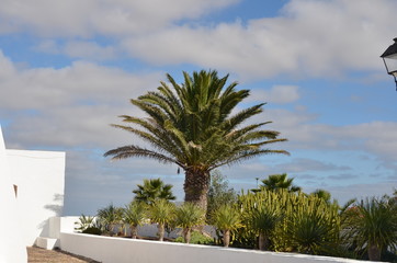 Lanzarote