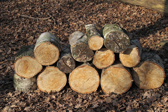 Holzstapel