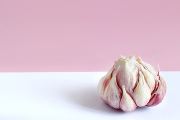 Fresh garlic on a light pink background