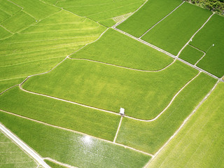 Rice Terrace Aerial Shot. Image of beautiful terrace rice field in Indonesia