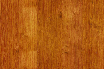 acacia timber tree wooden surface wallpaper structure texture background