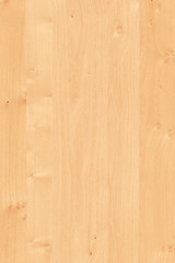 acacia wooden timber tree surface wallpaper structure texture background high size