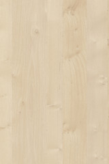 Fototapeta premium acacia wooden timber tree surface wallpaper structure texture background high size