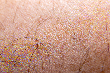 The skin of the human ,Close up.