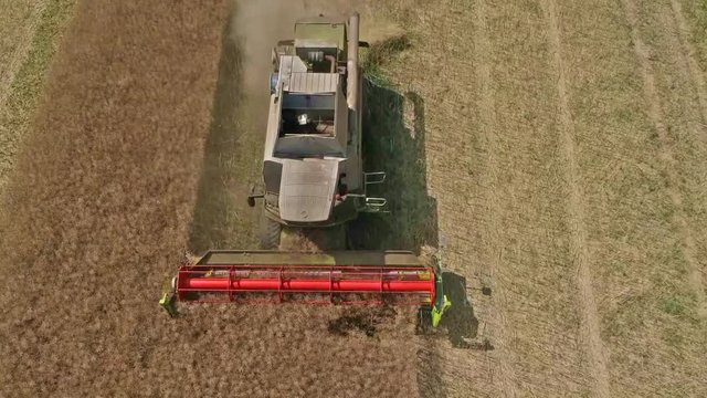 Ernte mit M&auml;hdrescher Zeitlupe Luftbild