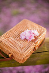 Obraz na płótnie Canvas Wicker bag lies on a tree in a flowered garden. Sakura.