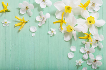 daffodils and cherry flowers on green wooden background