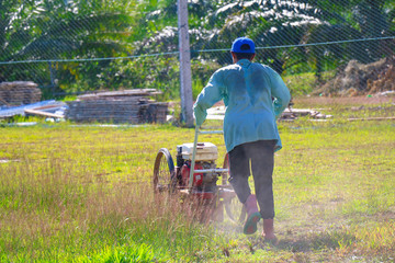 Obraz premium Lawn mower worker man cutting grass, Worker cutting grass with grass cutter machine, Cutting grass in the park