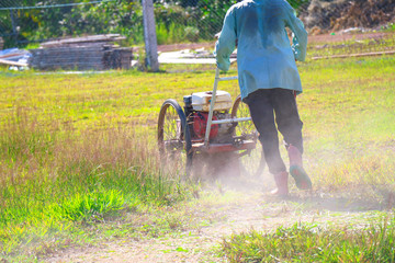 Lawn mower worker man cutting grass, Worker cutting grass with grass cutter machine, Cutting grass...