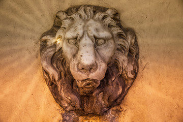 Obraz premium Stone Lion on a fountain in Fiesole