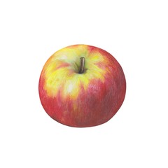 Apfel, Zeichnung, freigestellt, Freisteller, Illustration von Kathrin Schwertner