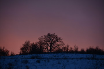 Fototapeta na wymiar purple evening sky on the field