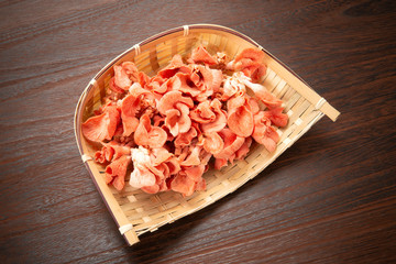 トキイロヒラタケ