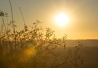 Obraz premium Sonnenuntergang in Cortona