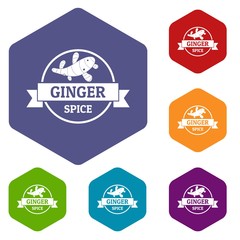 Fototapeta premium Ginger spice icons vector colorful hexahedron set collection isolated on white 