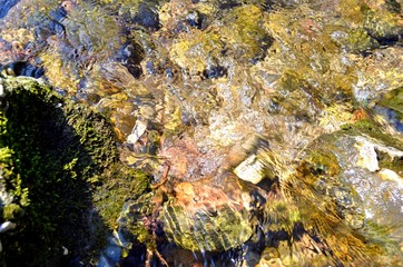 stones under the surface of the flowing water of the stream