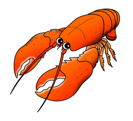ロブスター 　イラスト