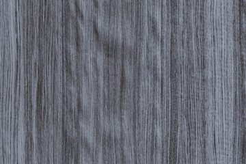 light blue tree wooden wallpaper structure texture background pattern