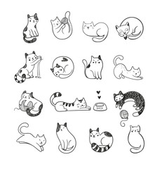 Cute doodle cats