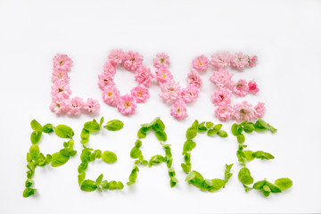 LOVE&PEACE花文字