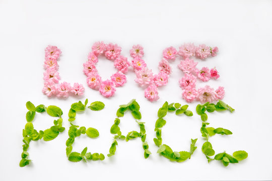 104 Best 花文字 Images Stock Photos Vectors Adobe Stock